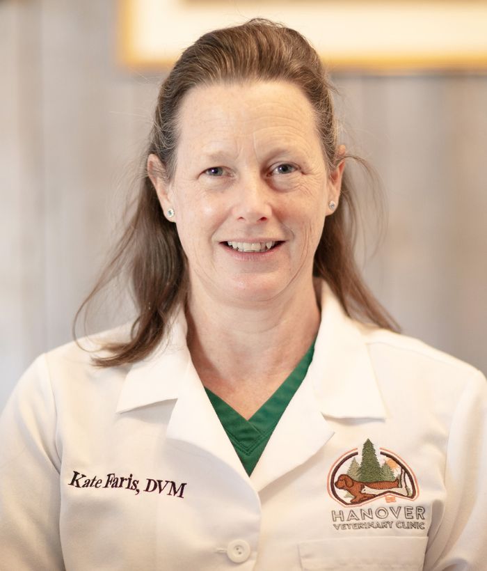 Dr Katie Faris