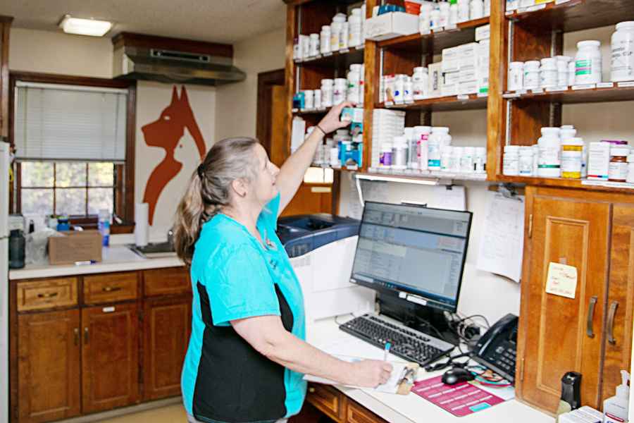 staff in veterinary pharmacy