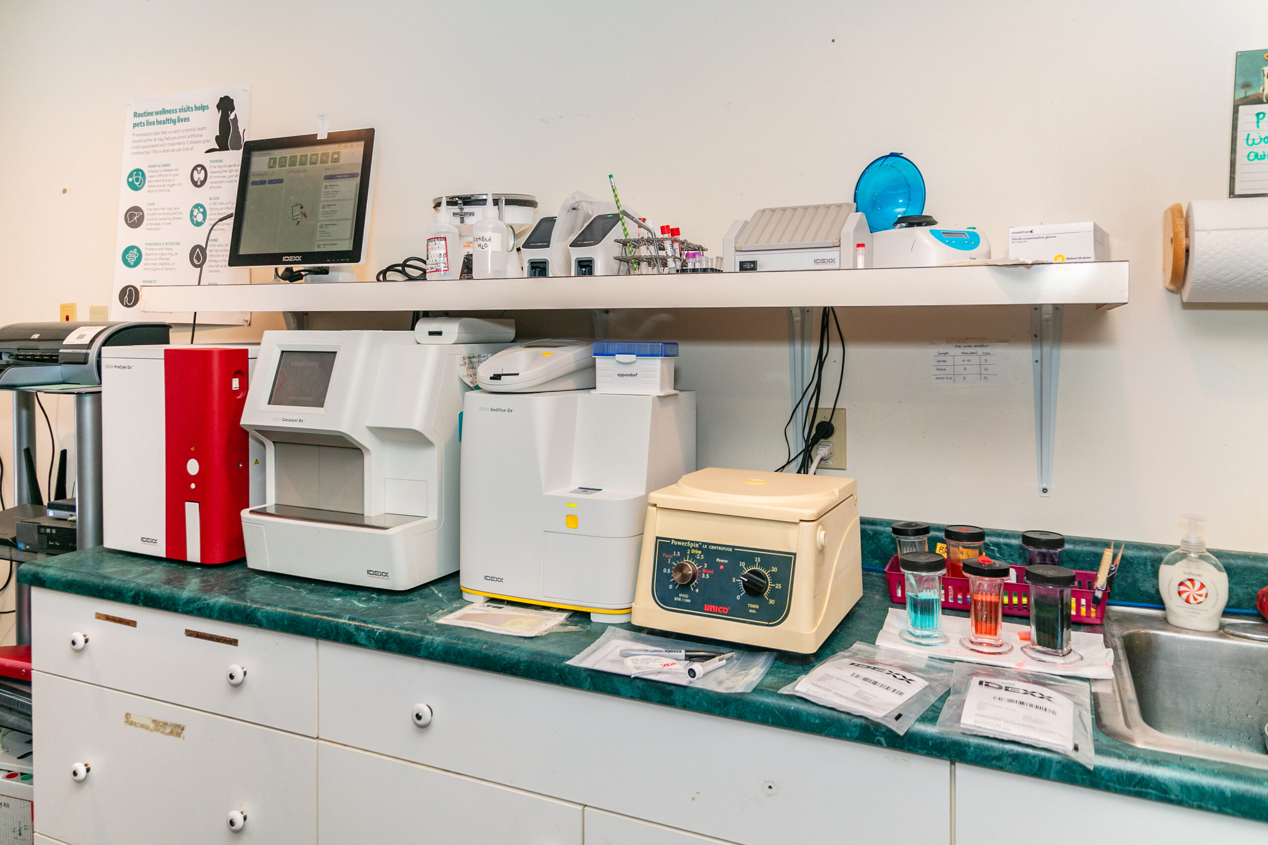 HVC diagnostic equipment vet taking care of dog